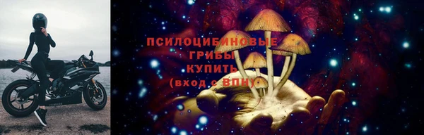 хмурый Краснослободск