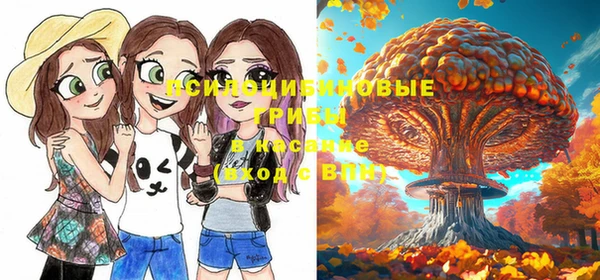 бошки Кукмор