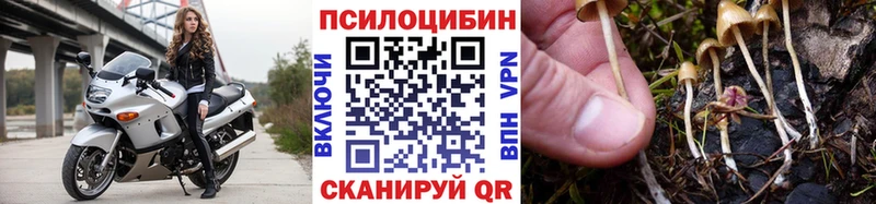 наркошоп  Хотьково  shop состав  Галлюциногенные грибы GOLDEN TEACHER 